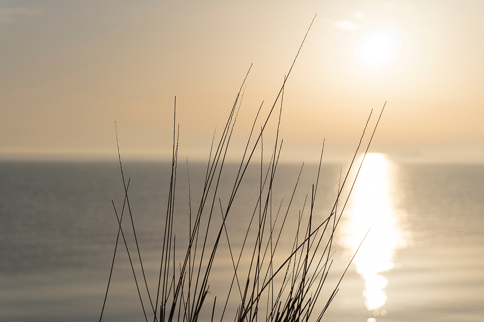 Unvergessliche Abendstimmung an der Nordwestküste Seelands in Dänemark voll unglaublicher Sanftheit und Zuversicht.