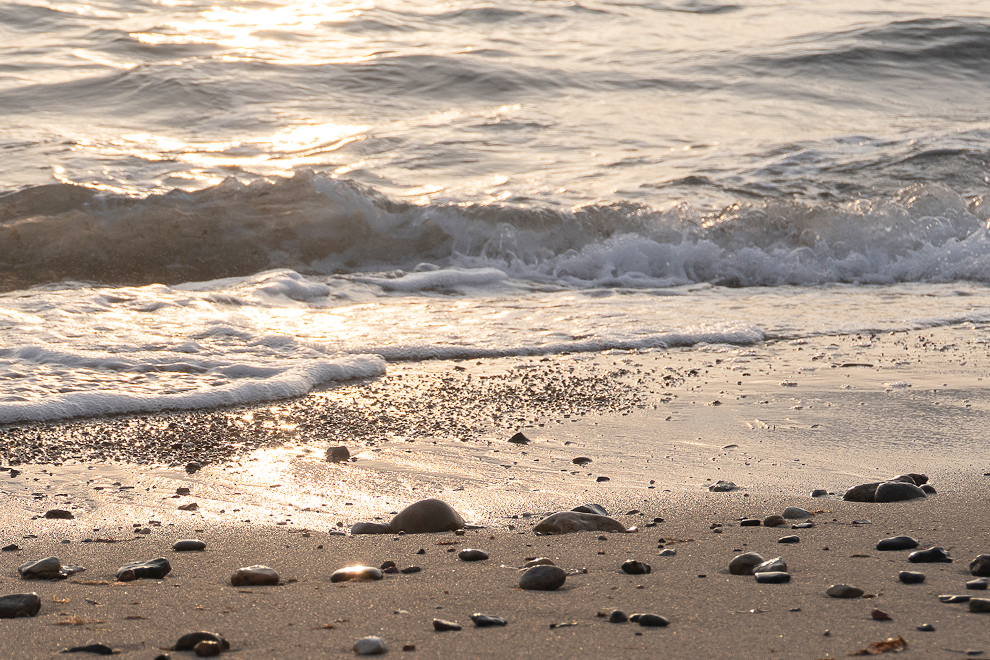 Solche Momente wirken klein und sind doch unbezahlbare Schätze. Ein goldener Strand zur goldenen Stunde an der Nordwestküste Seelands, Dänemark.